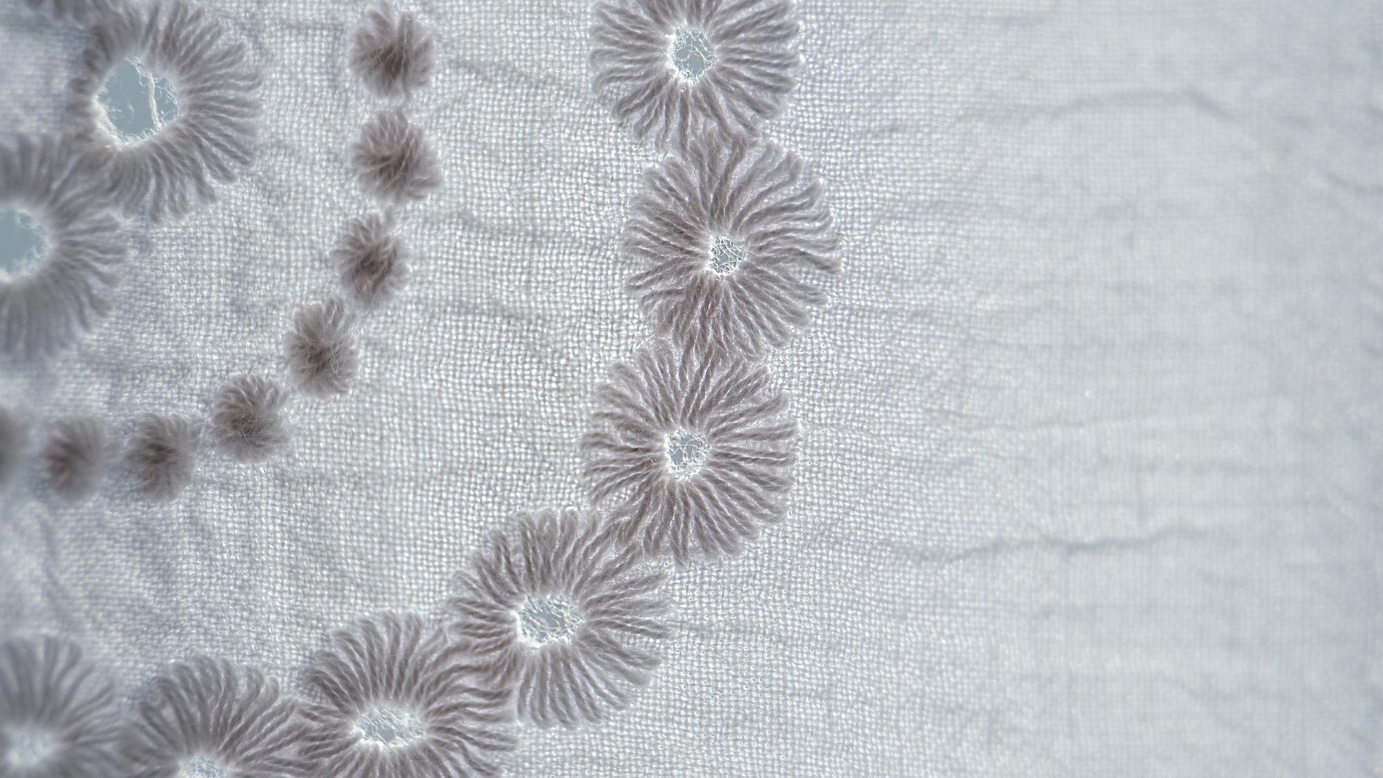 Delicate floral embroidery on cotton
